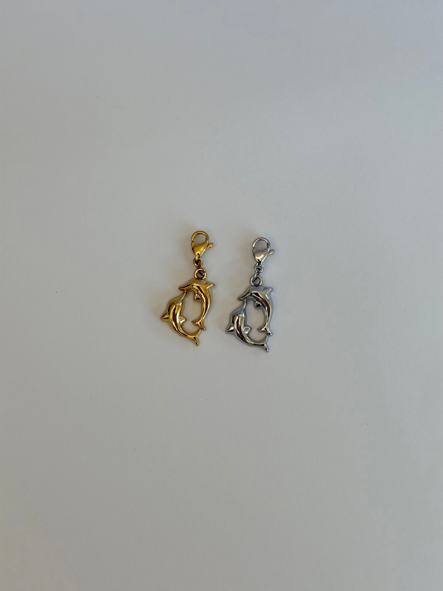 Charm Delfini