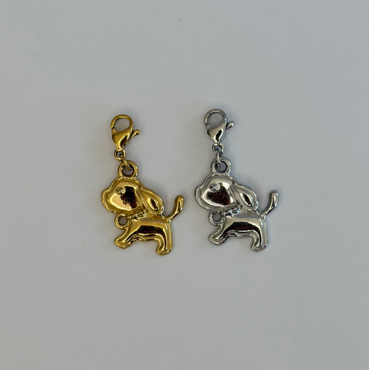 Charm Cagnolino