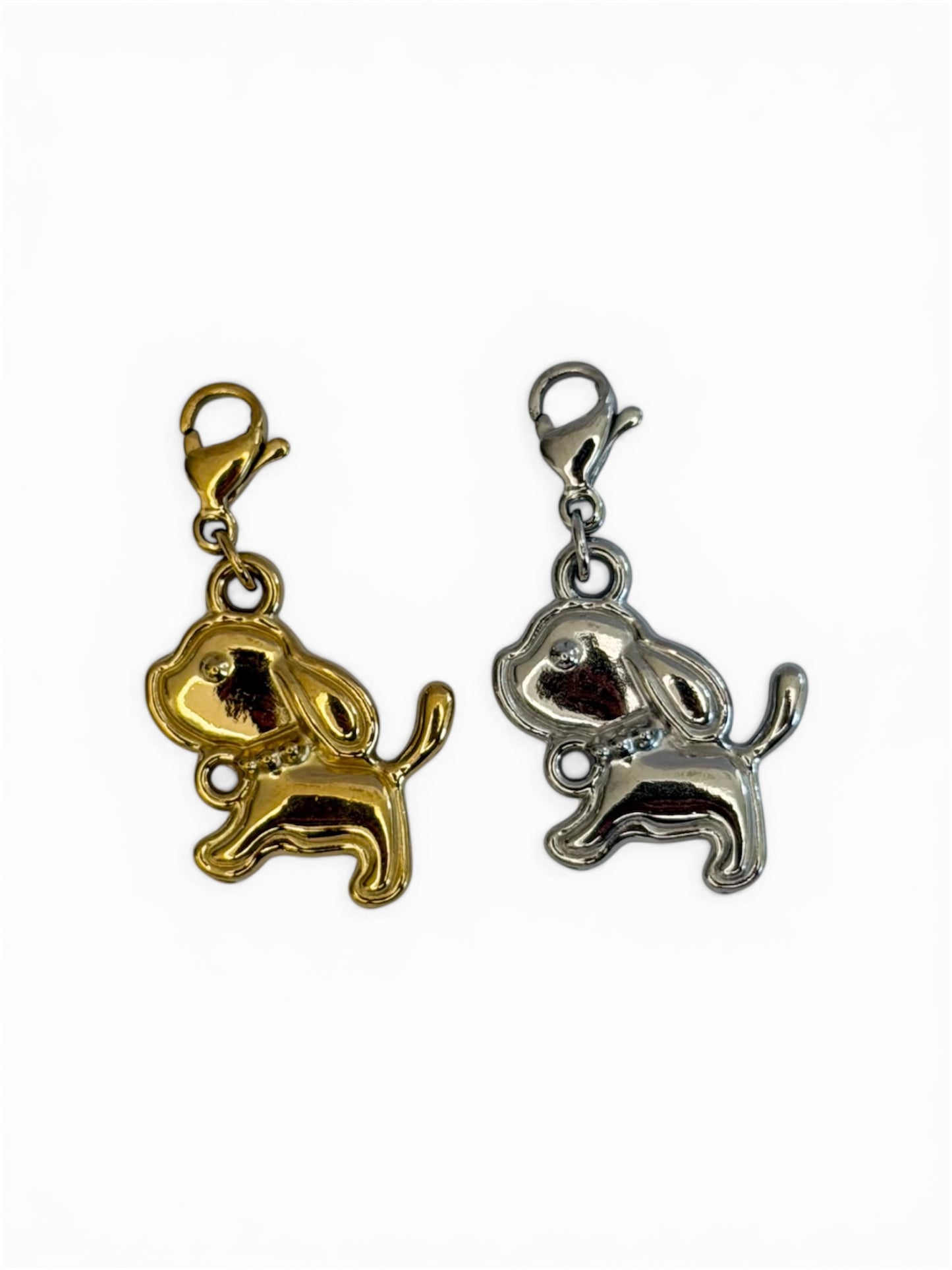 Charm Cagnolino
