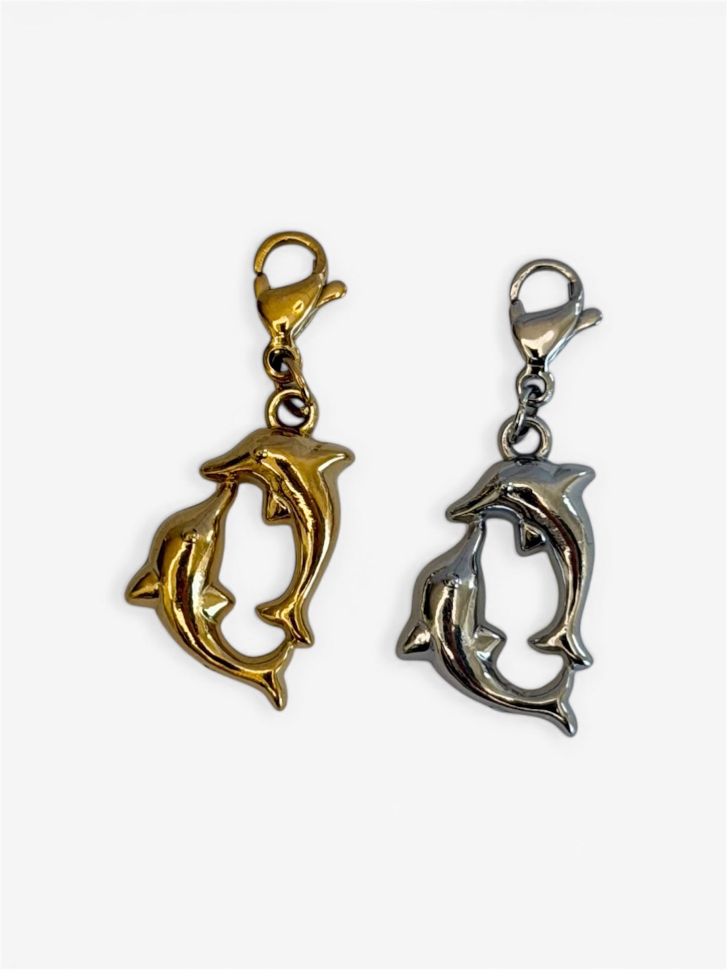 Charm Delfini