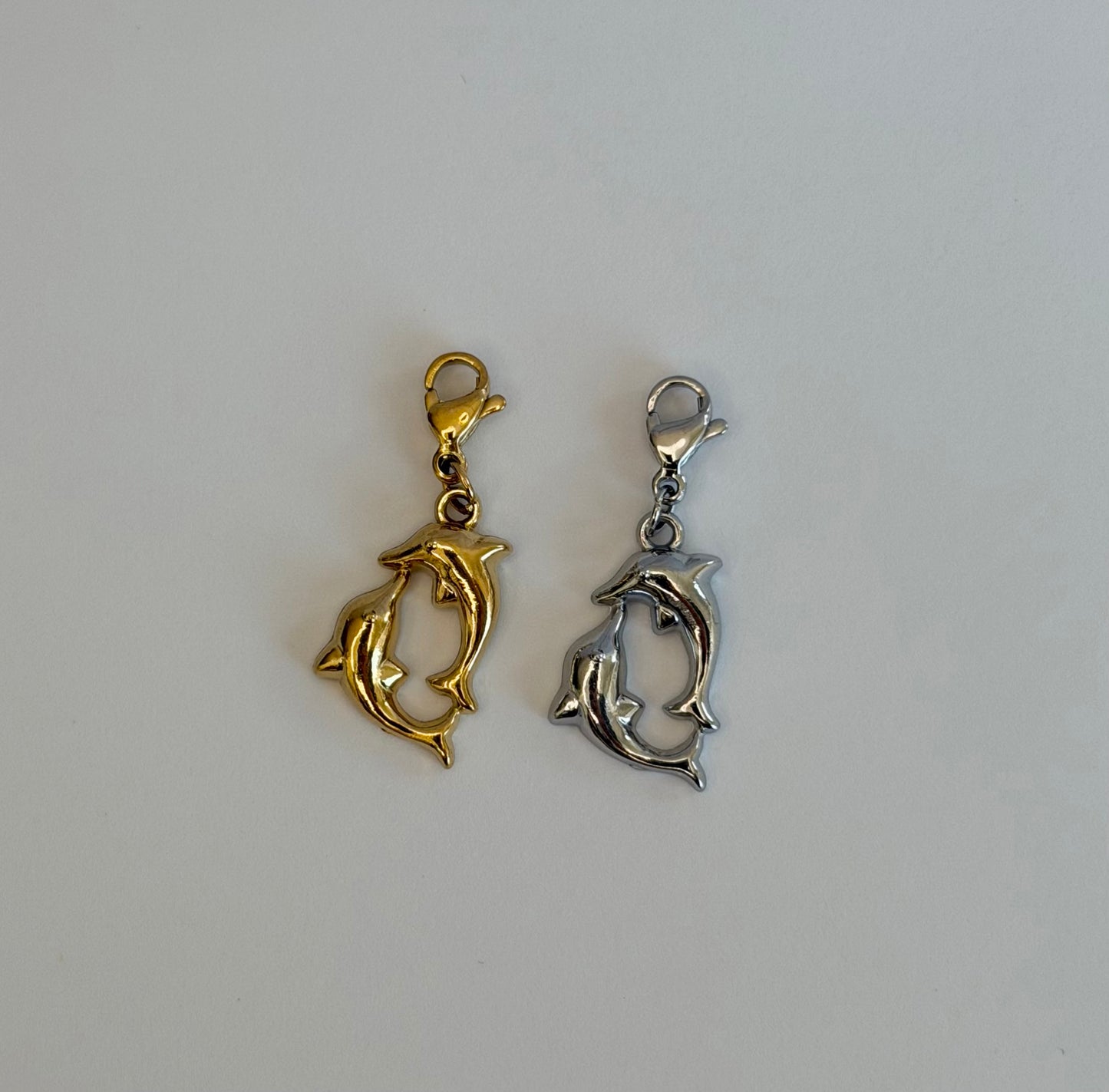 Charm Delfini